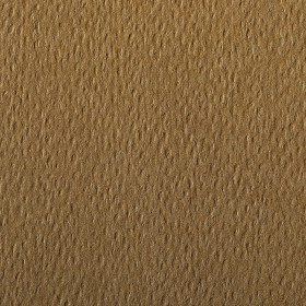 Paquet Etival Color 75x110 25 feuilles 160g havane