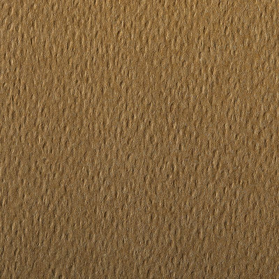 Paquet Etival Color 75x110 25 feuilles 160g havane