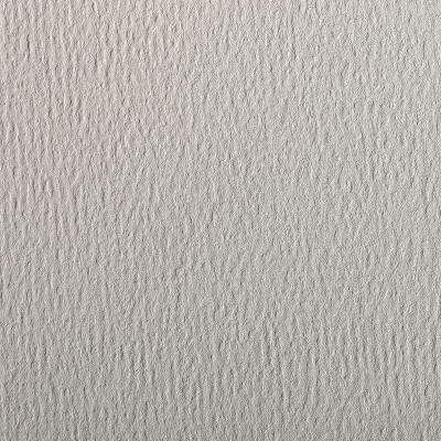 Paquet Etival Color 75x110 25 feuilles 160g Gris clair