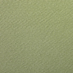 Paquet Etival Color 75x110 25 feuilles 160g vert amande