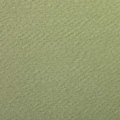 Paquet Etival Color 75x110 25 feuilles 160g vert amande