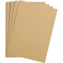 1F Etival Color 160g 50x65cm camel