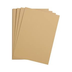1F Etival Color 160g 50x65cm camel