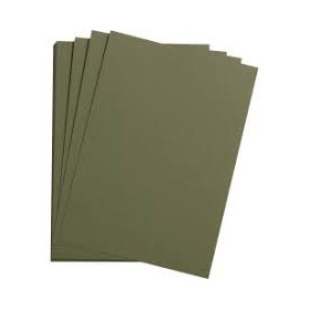 1F Etival Color 160g 50x65cm vert océan
