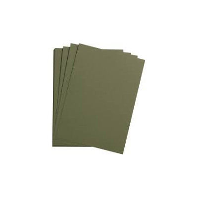 1F Etival Color 160g 50x65cm vert océan