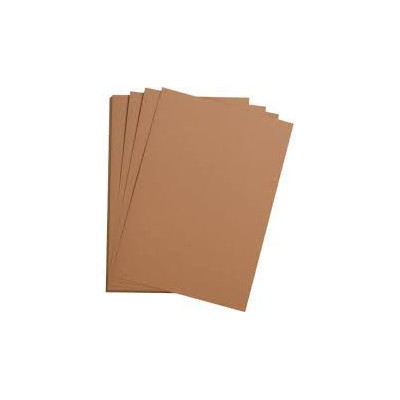 1F Etival Color 160g 50x65cm saumon