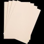 1F Etival Color 160g 50x65cm rose pâle