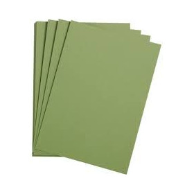 1F Etival Color 160g 50x65cm vert pomme