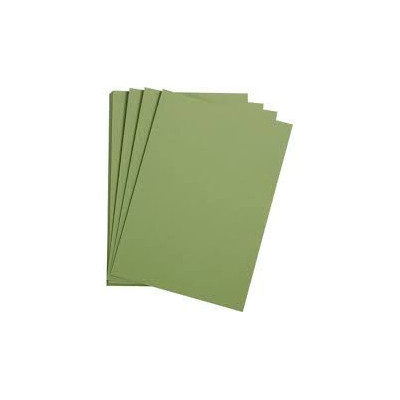 1F Etival Color 160g 50x65cm vert pomme
