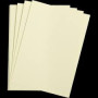 1F Etival Color 160g 50x65cm tilleul