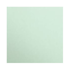 * PAPIER AFFICHE FLUO, Paquet de 25 feuilles, 60x80cm, 90g, Vert pré