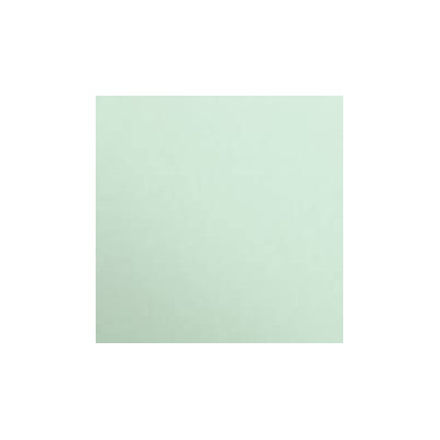 * PAPIER AFFICHE FLUO, Paquet de 25 feuilles, 60x80cm, 90g, Vert pré