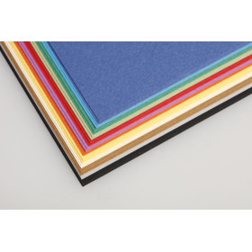 Tulipe 160g 24 feuilles 50x65cm Ass 12 couleurs