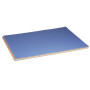 Tulipe 160g 24 feuilles 50x65cm Ass 12 couleurs