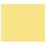Tulipe 160g 25 feuilles 50x65cm Bouton d'Or