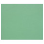 Tulipe 160g 25 feuilles 50x65cm Vert  foncé