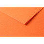 Tulipe 160g 25 feuilles 50x65cm Orange