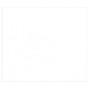 Tulipe 160g 25 feuilles 50x65cm Blanc