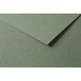 Tulipe 160g 25 feuilles 50x65cm Vert Océan