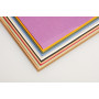 Tulipe 50x65cm Ass 24 feuilles Coul Pastels (2x12)