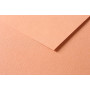 Tulipe 160g 25 feuilles 50x65cm Rouille