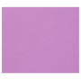 Tulipe 160g 50 feuilles 50x65cm Lilas