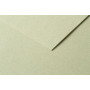 Tulipe 160g 50 feuilles 50x65cm Vert tilleul