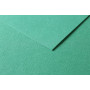 Tulipe 160g 50 feuilles 50x65cm Vert  foncé