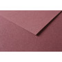 Tulipe 160g 50 feuilles 50x65cm Marron  foncé