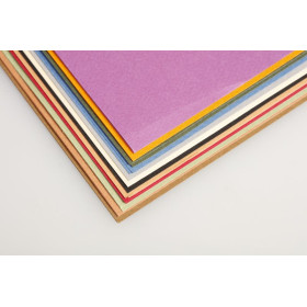 Tulipe Assorti 24 feuilles A4 Couleur Pastels (2x12)