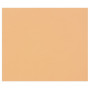 Tulipe 160g 50 feuilles 50x65cm Saumon
