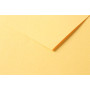 Tulipe 160g 50 feuilles A3 Bouton d'Or