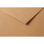 Tulipe 160g 50 feuilles A3 Marron clair