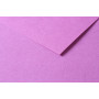 Tulipe 160g 50 feuilles A3 Lilas