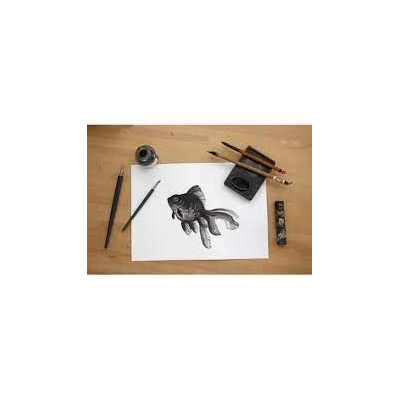 Lavis Technique 250g A3 Paquet 20 feuilles