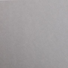 1F couleur Maya 50x70cm 120g gris acier