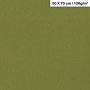1F couleur Maya 50x70cm 120g kaki