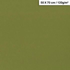 1F couleur Maya 50x70cm 120g kaki