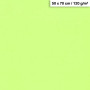 1F couleur Maya 50x70cm 120g vert menthe
