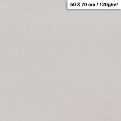 1F couleur Maya 50x70cm 120g gris clair