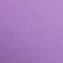 1F couleur Maya 50x70cm 210g violet