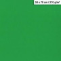 1F couleur Maya 50x70cm 270g vert sapin