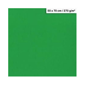 1F couleur Maya 50x70cm 270g vert sapin