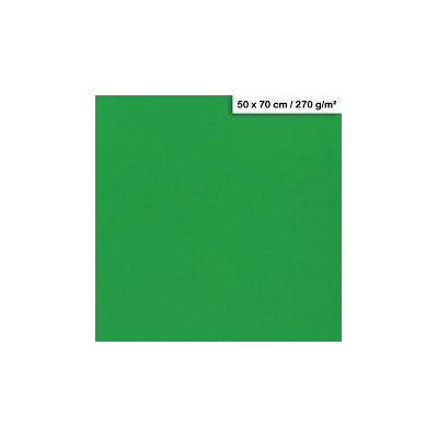 1F couleur Maya 50x70cm 270g vert sapin
