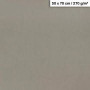 1F couleur Maya 50x70cm 270g gris acier