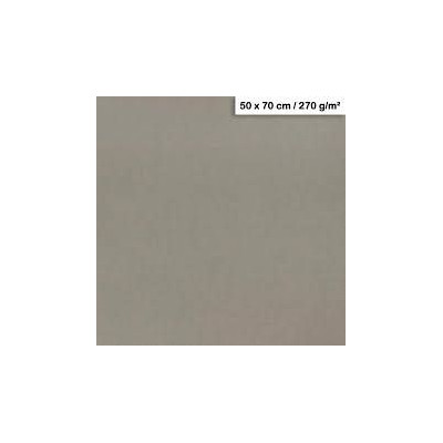 1F couleur Maya 50x70cm 270g gris acier