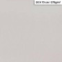 1F couleur Maya 50x70cm 270g gris clair
