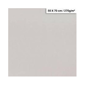 1F couleur Maya 50x70cm 270g gris clair