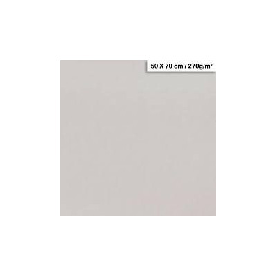1F couleur Maya 50x70cm 270g gris clair