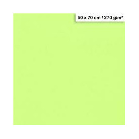 1F couleur Maya 50x70cm 270g vert menthe
